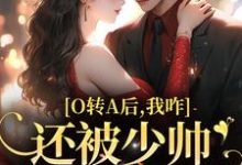 完结版《O转A后,我咋还被少帅强取豪夺了》章节阅读-干果文学
