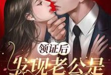 领证后,发现老公是隐藏大佬小说无弹窗阅读的网站推荐-干果文学