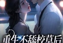 苏迦妮迟域的故事在哪本书里?免费阅读重生不舔校草后,反被他求婚啦-干果文学