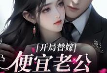 开局替嫁,便宜老公身份不一般杨念念陆时深,开局替嫁,便宜老公身份不一般在线无弹窗阅读-干果文学