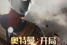 免费阅读方源赛罗为主角的小说,奥特曼:开局变身迪迦在线看-干果文学