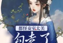 小说《都怪妾室太美,勾走了侍郎的心》在线章节阅读-干果文学