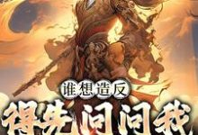 赵武小说叫什么(谁想造反,得先问问我千古一帝免费阅读)-干果文学