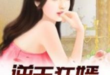 求推荐可以免费阅读逆天狂婿(龙王殿)小说的网站-干果文学