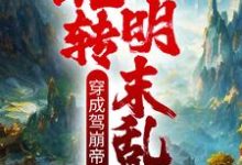 小说《穿成驾崩帝皇,玩转明末乱世》章节阅读-干果文学