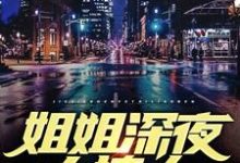 小说《姐姐深夜太撩人》章节免费阅读-干果文学