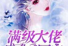 想读云空流云洛川的故事,哪里可以免费找到满级大佬成了七个哥哥的团宠?-干果文学