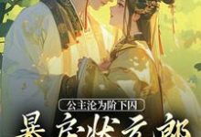 哪里能找到公主沦为阶下囚,暴戾状元郎失控了小说的全部章节?-干果文学