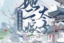 完结版《渣男宠妾灭妻?她二嫁太子》在线免费阅读-干果文学