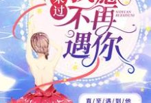 重来过,我愿不再遇你小说,重来过,我愿不再遇你沈姝傅慎言-干果文学