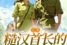 宋声声傅城小说《七零:糙汉首长的疯批小娇妻》在线阅读-干果文学
