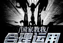 完结版《国家教我合理运用攻略系统》章节阅读-干果文学