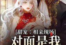 甜宠:相亲现场,对面是我暗恋对象小说的最新章节在哪里更新?免费追踪阅读-干果文学