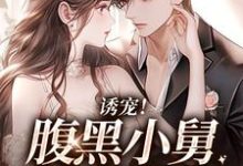陆迟晏宋听晚为主角的小说叫什么?免费看诱宠!腹黑小舅肆意妄吻-干果文学