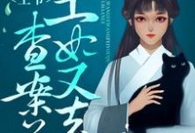 主角曲蓁容瑾笙小说完结版在线阅读,王爷,王妃又去查案了免费看-干果文学