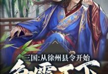 三国:从徐州县令开始争霸天下封宇武媚娘小说大结局免费试读-干果文学