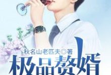 极品赘婿奶爸叶知夏枯市大波Q吹波Q夏枯在线章节免费阅读-干果文学
