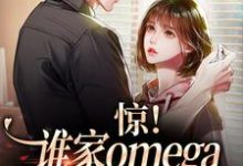 小说《惊!谁家omega这么会钓人啊》在线章节阅读-干果文学