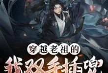 《穿越老祖的我双手插兜,没有对手》小说大结局免费试读 林玄清小说-干果文学