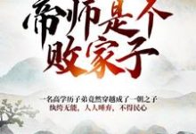 《大朝之势:帝师是个败家子》小说章节列表免费试读,江小川小说在线阅读-干果文学
