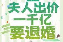 免费看薄爷,夫人出价一千亿要退婚小说的网站有哪些?-干果文学