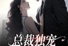 总裁独宠:他超爱少奶奶小说完结版章节免费阅读-干果文学