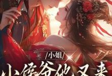 小姐,小侯爷他又来爬墙看你了许柔嘉余袖清小说在线章节目录阅读最新章节-干果文学