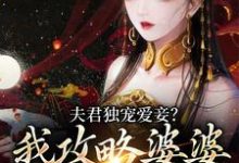 小说《夫君独宠爱妾?我攻略婆婆来撑腰》在线章节阅读-干果文学