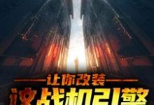 让你改装,这战机引擎什么鬼?小说有没有完结版在线?-干果文学