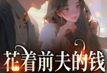 花着前夫的钱,养了一屋男模小说完结版章节免费阅读-干果文学