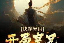 快穿异世,开局皇兄全战死小说有没有完整的免费版本在线阅读?-干果文学