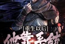 盛怀安是哪本书的主角?重生以后,他靠系统杀敌变强免费读-干果文学