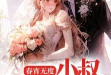 完结版《春宵无度:小叔宠我上天》章节阅读-干果文学