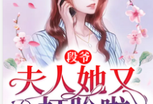 段爷,夫人她又双叒打脸啦小说的无弹窗阅读体验,寻找免费阅读网站-干果文学