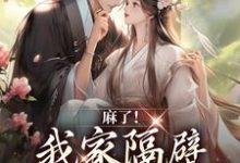 《麻了!我家隔壁直通世子书房》小说大结局免费试读 谢北衡林湘湘小说-干果文学