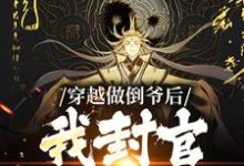 穿越做倒爷后,我封官加爵了主角叶天策小说完结版章节在线阅读-干果文学