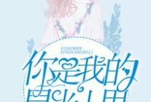 你是我的星光十里黎月季司深小说在线章节免费阅读-干果文学