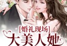 婚礼现场,大美人她喜提绿帽小说全文哪里可以免费看?-干果文学