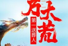 《我乃大荒第一送葬人》全集免费在线阅读(叶天)-干果文学