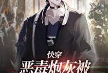 已完结小说《快穿:恶毒炮灰被疯批们强制爱了》章节免费阅读-干果文学