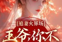 追妻火葬场:王爷,你不该囚禁她小说完结版章节免费阅读-干果文学