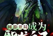 网游:开局成为邪龙之子小说,网游:开局成为邪龙之子陈墨红玉-干果文学