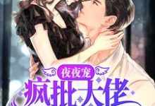 小说《夜夜宠,疯批大佬霸道撩妻》在线章节阅读-干果文学