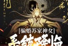 寻找能够免费阅读骗婚苏家神女,系统降临上古神瞳小说的平台-干果文学