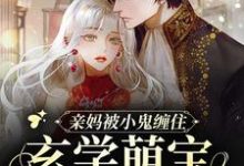 亲妈被小鬼缠住,玄学萌宝在线画符陆司司,亲妈被小鬼缠住,玄学萌宝在线画符章节在线阅读-干果文学
