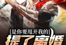 主角叫许晴陈飞扬的小说在哪阅读-干果文学