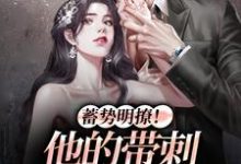 《蓄势明撩!他的带刺玫瑰正走来》小说大结局免费试读 沈枳夏孟淮序小说-干果文学