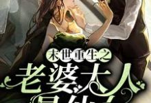 莫云渊天若柳玉是哪本书的主角?寻找末世重生之老婆大人是仙女免费阅读-干果文学