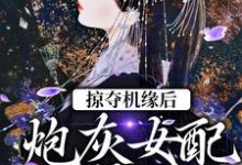 掠夺机缘后,炮灰女配上位了小说,掠夺机缘后,炮灰女配上位了章节在线阅读-干果文学