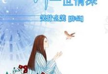 小说《许你一世情深》章节阅读-干果文学